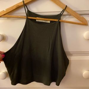 Lizard Thicket Crop Top